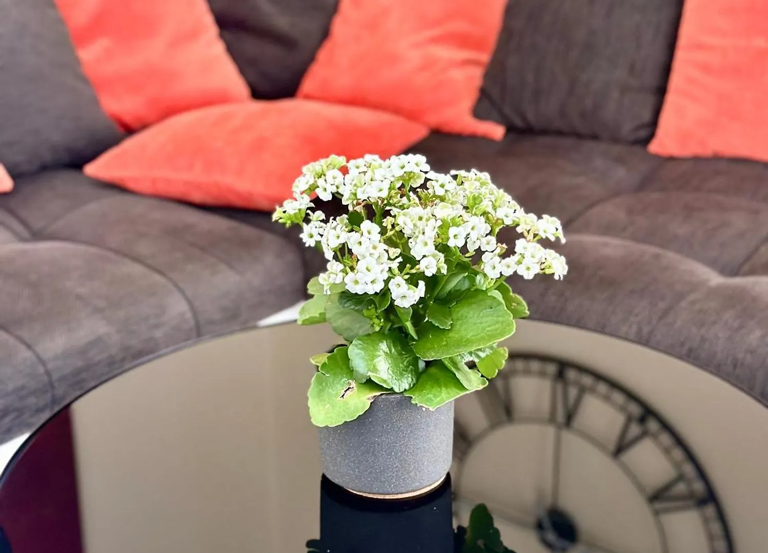 Gemuetliches Haus In Berlin Koepenick Apartman